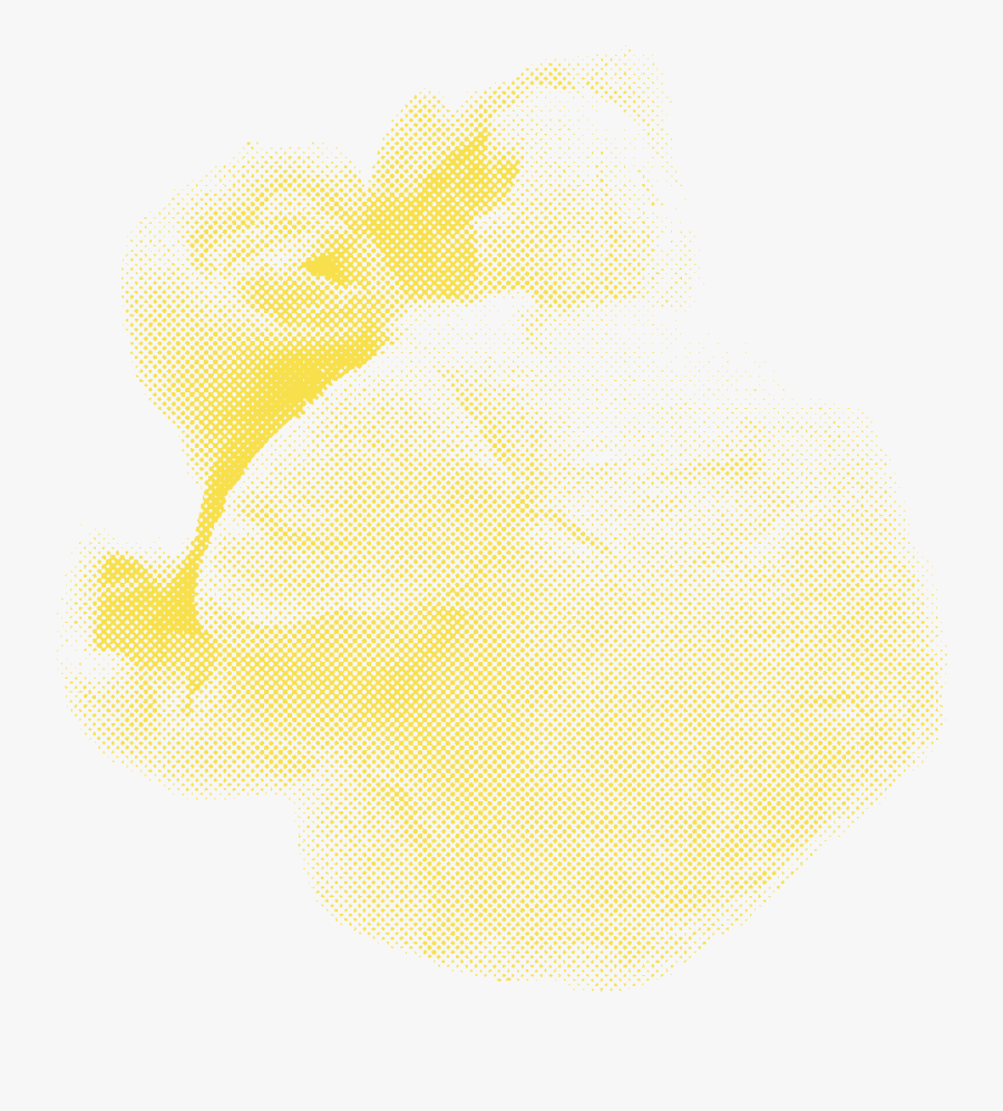 Darkness, Transparent Clipart