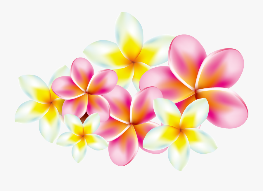 Frangipani Clip Art Transprent - Frangipani Png, Transparent Clipart