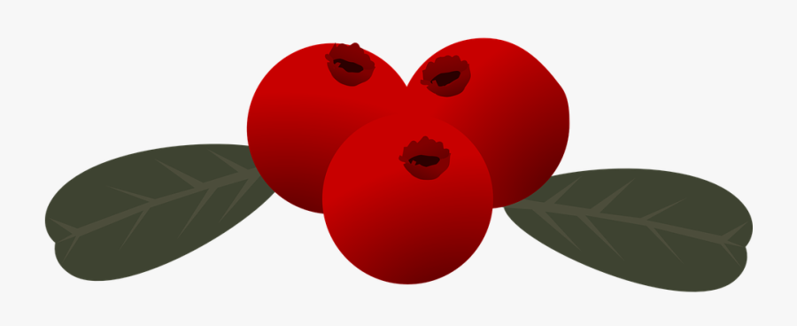 Transparent Holly Berry Clipart - Lingon Clipart, Transparent Clipart