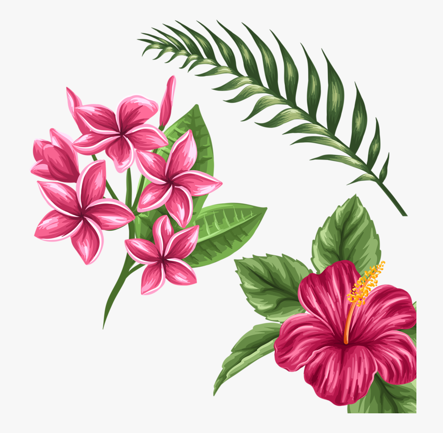 Hd A Ca F Orig Png Flowers - Drawings Of Tropical Flowers, Transparent Clipart