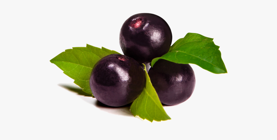 Berry Png - Acai Berry, Transparent Clipart