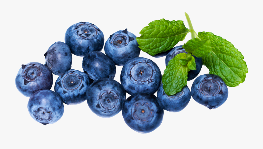 Blueberries Png Images Free - Blueberry Hd Transparent, Transparent Clipart