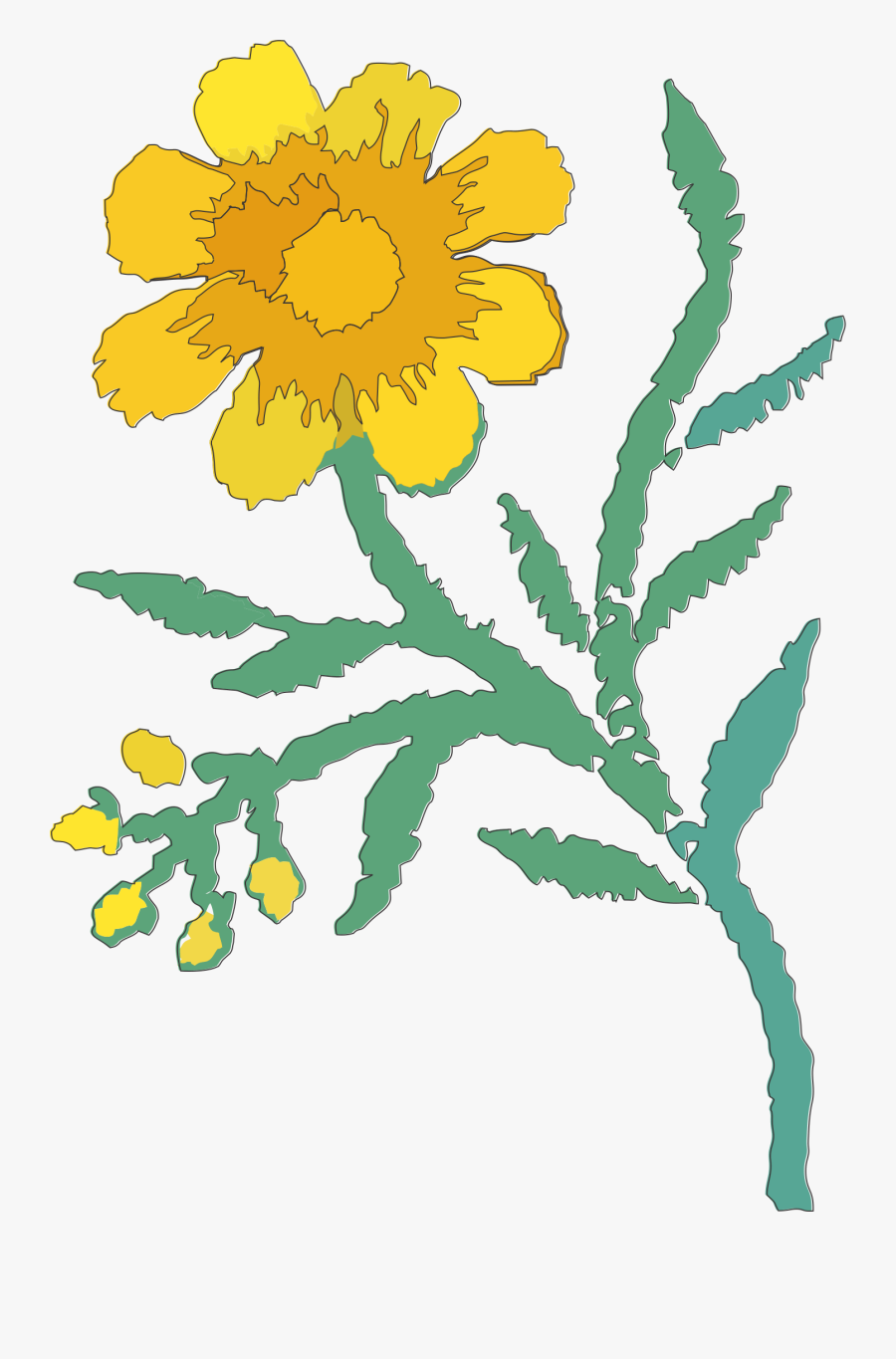Transparent Plumeria Flower Png - Sunflower, Transparent Clipart