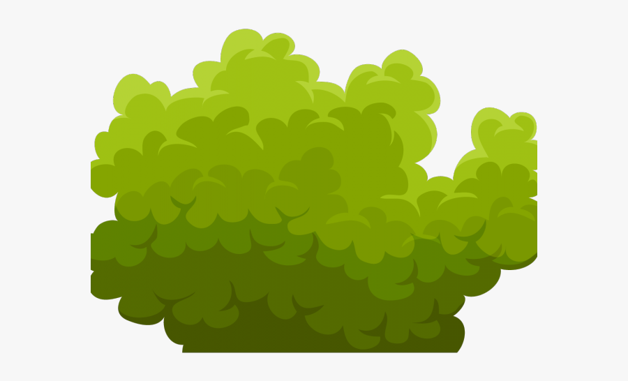 Transparent Background Bush Clipart, Transparent Clipart