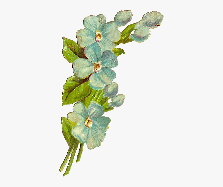 Antique Blue Flower Png, Transparent Clipart