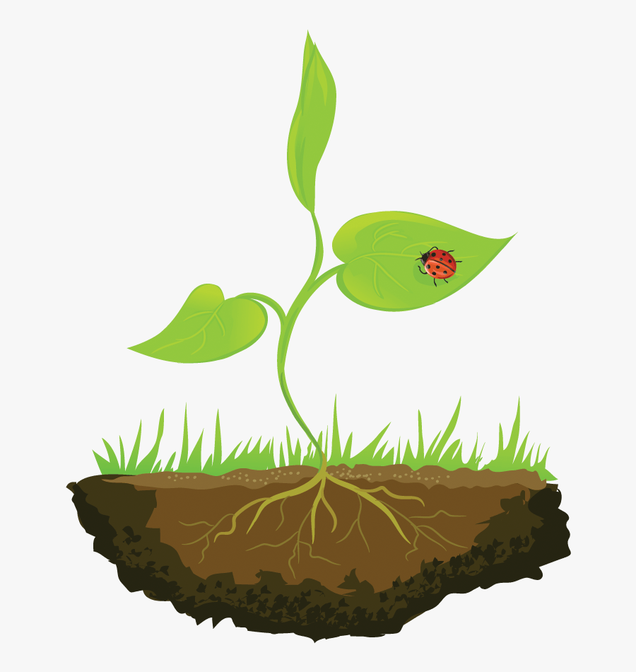 Illustration, Transparent Clipart