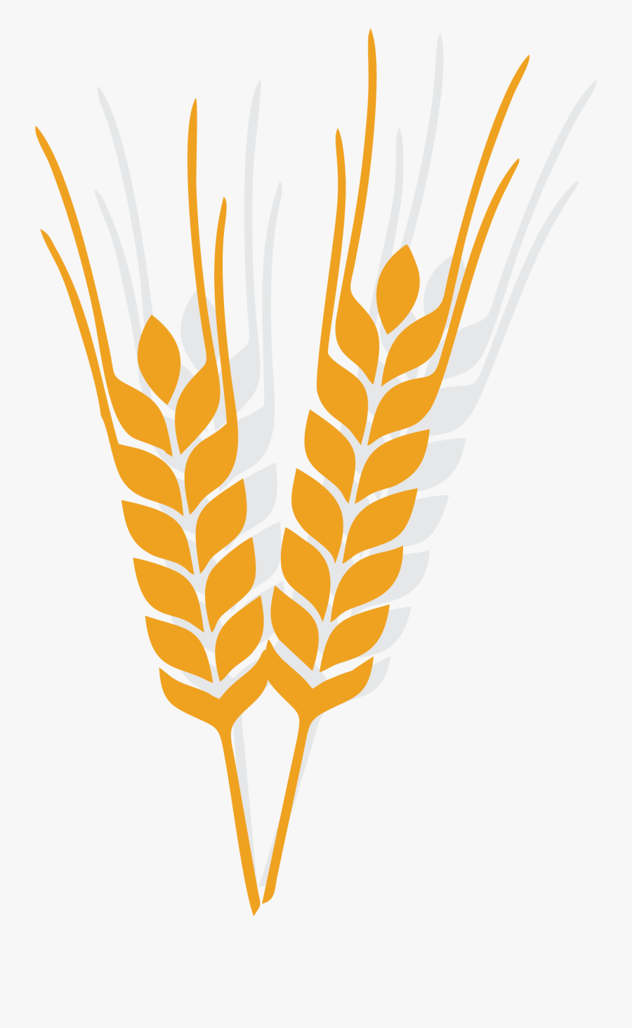 Oat Clip Art Mature - Oat Vector, Transparent Clipart