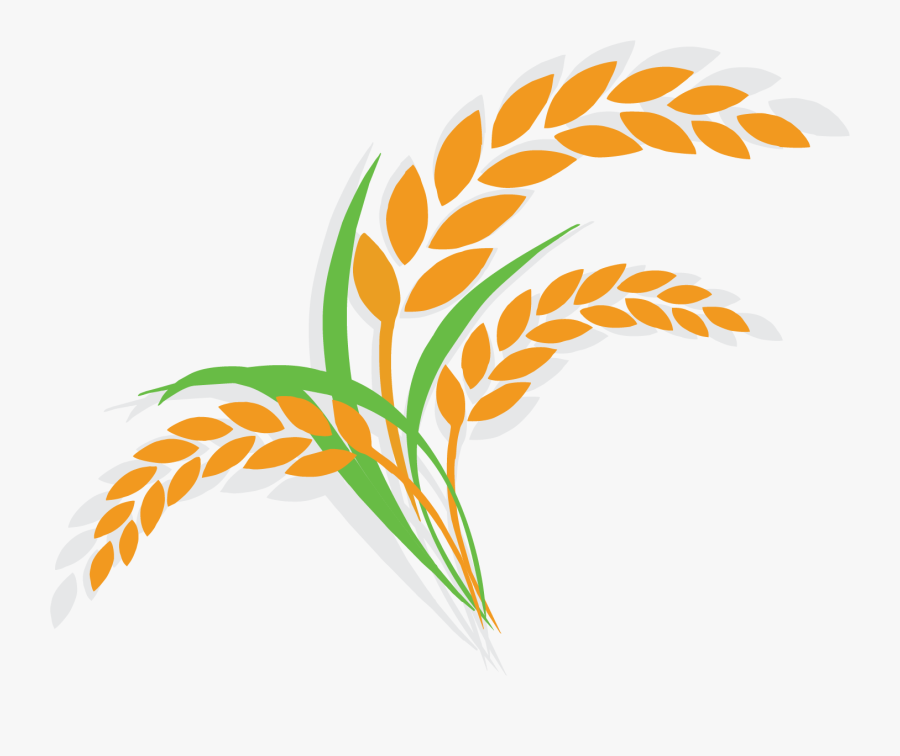 Oatmeal Clipart Breakfast Item - Rice Plant Clipart Png, Transparent Clipart