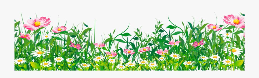 Grass With Flowers Png Clipart - Grass With Flowers Png, Transparent Clipart