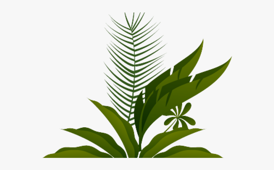 Ground Clipart Zoo - Illustration, Transparent Clipart