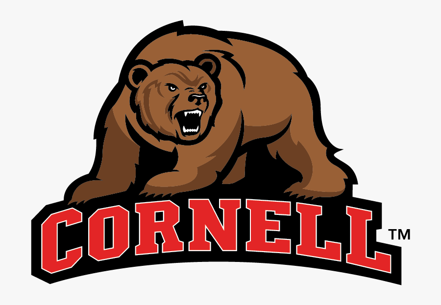C - Descript - Bears - Cornell University School Mascot - Mascot Of Cornell University, Transparent Clipart
