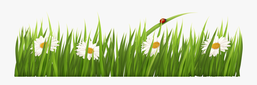 Ground Clipart Clear Background Grass - Transparent Background Grass Border, Transparent Clipart