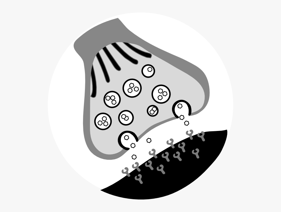 Chemical Synapse, Transparent Clipart