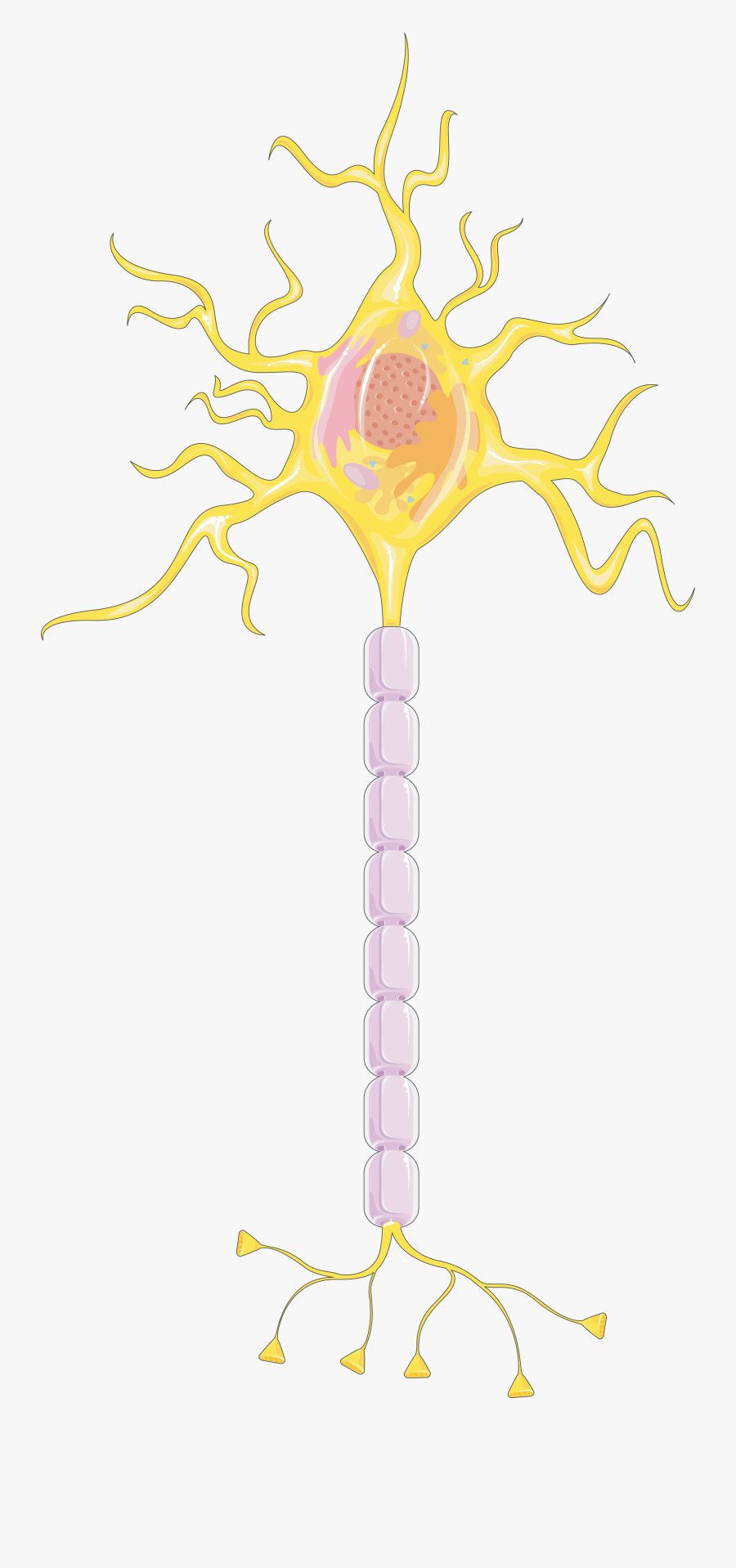 Illustration, Transparent Clipart