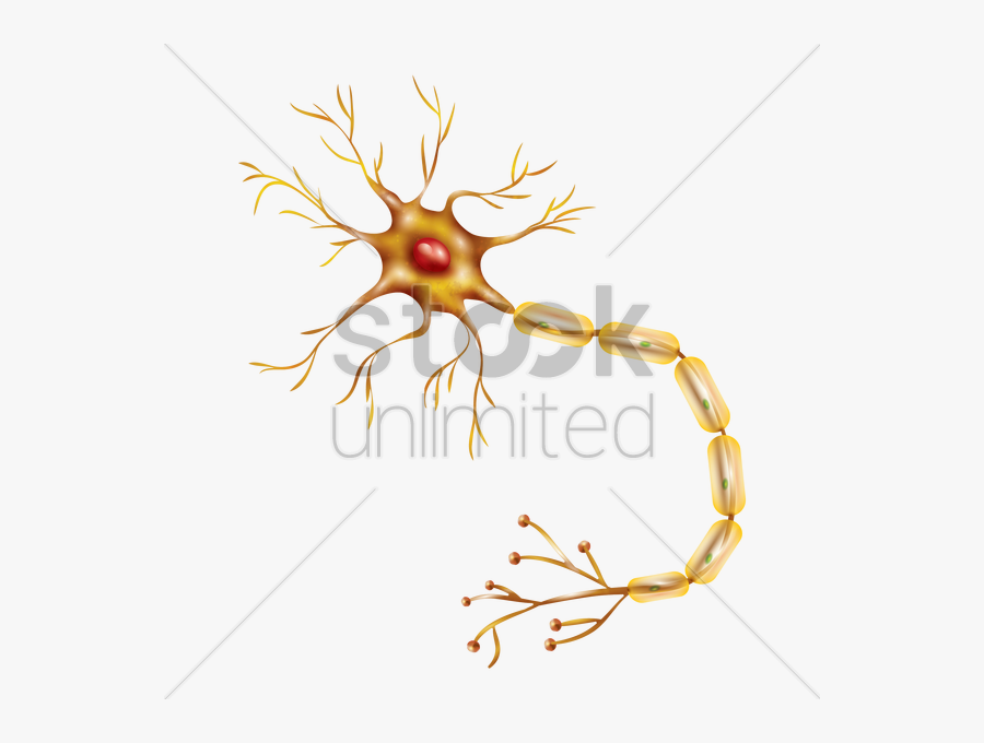 Neuron Clipart Transparent, Transparent Clipart