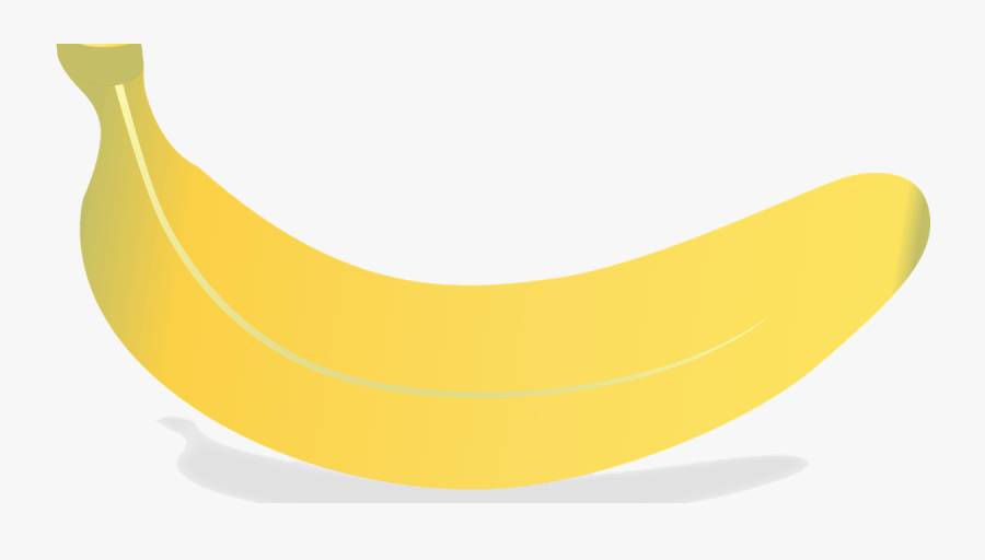 Circle, Transparent Clipart