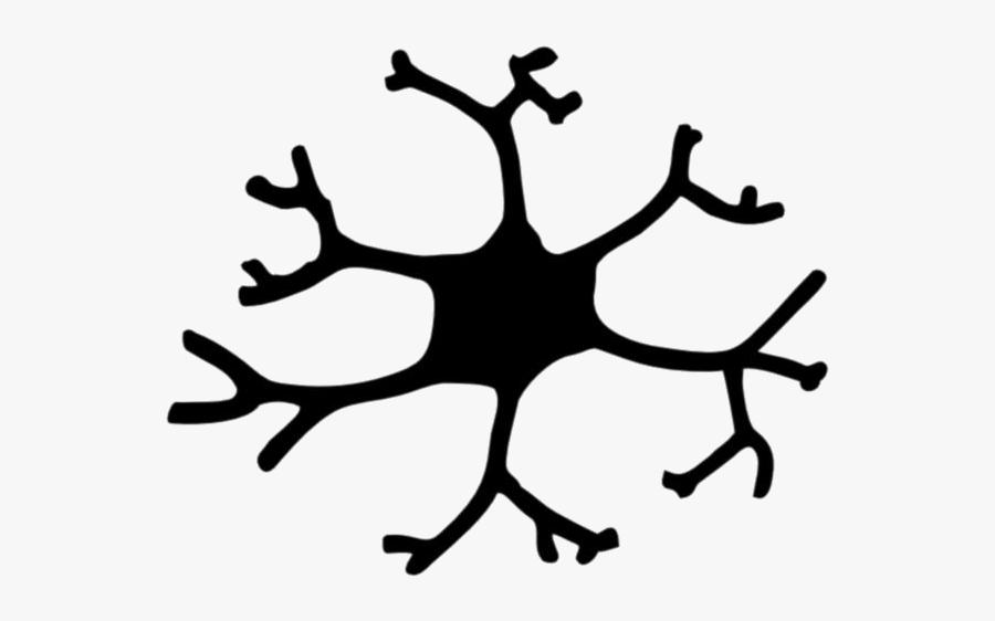 Neuron Structure Png Transparent Images - Free Astrocytes Drawing, Transparent Clipart