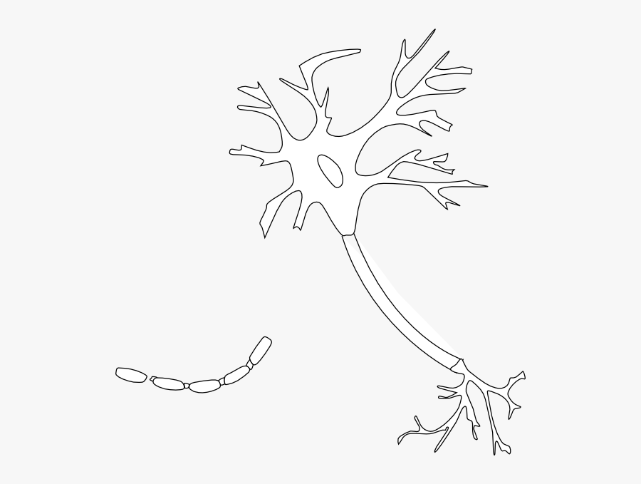 Illustration, Transparent Clipart