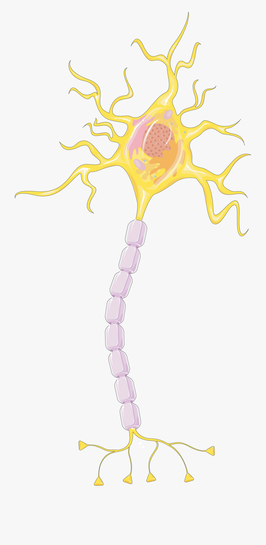 Illustration, Transparent Clipart