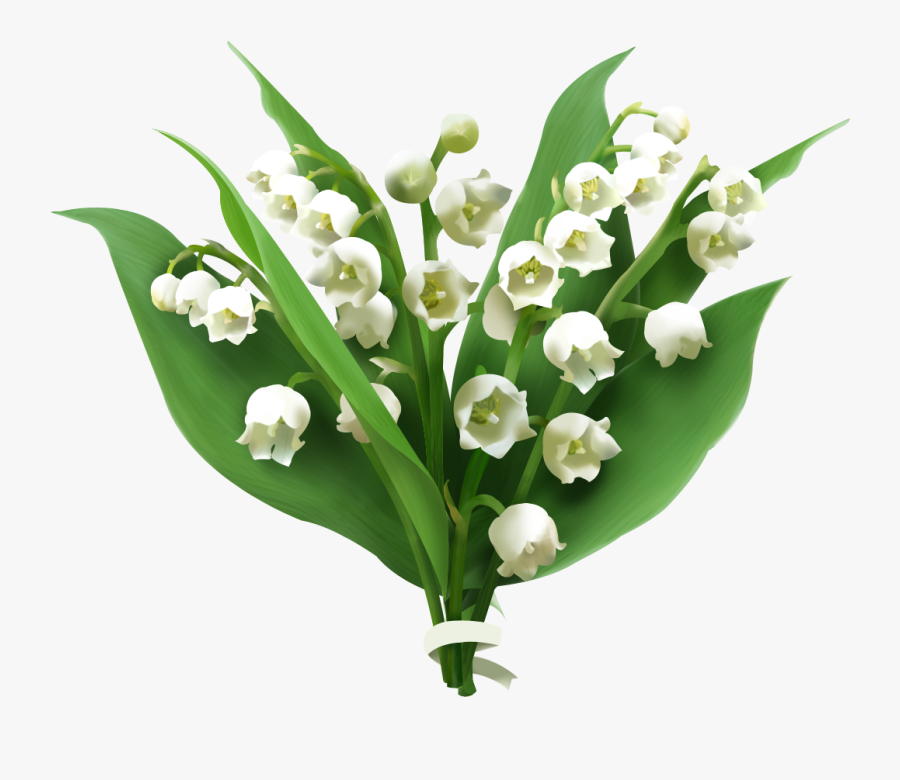 Clip Art Lily Of The Valley Floral - Lily Of The Valley Png, Transparent Clipart