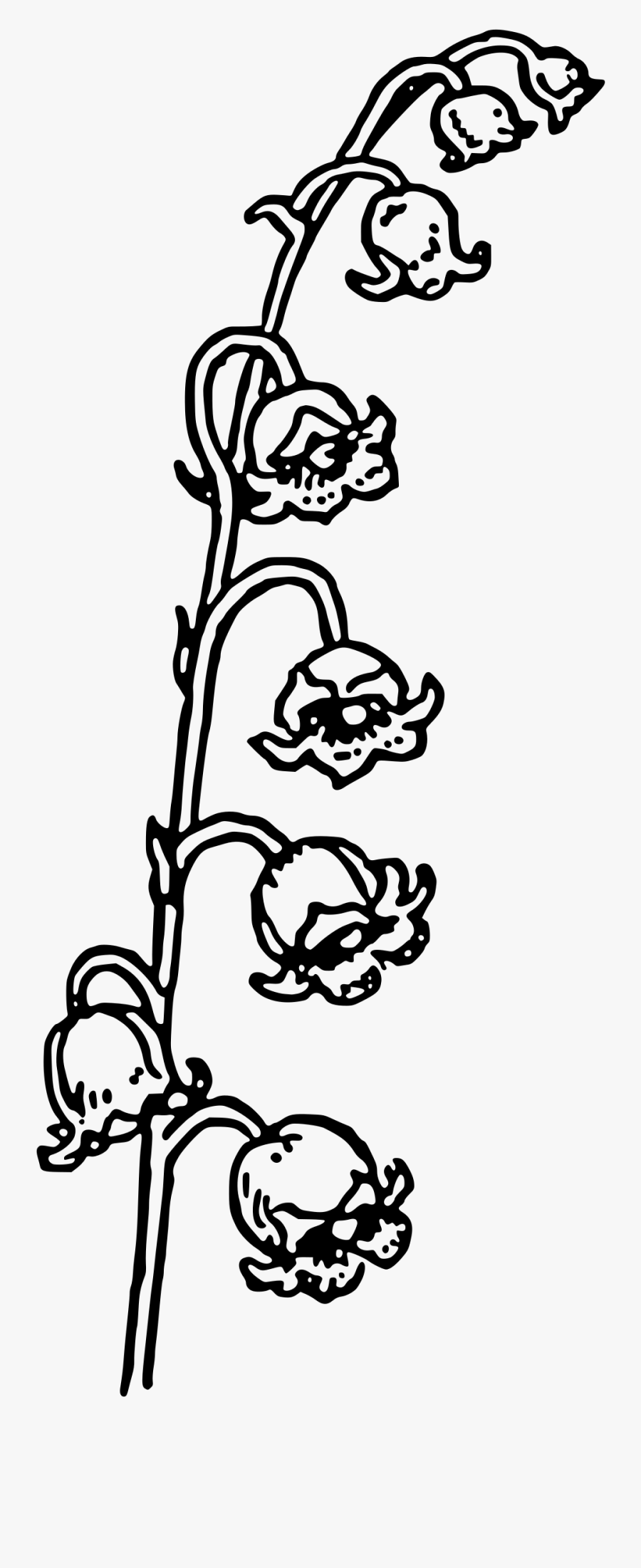 Lily Of The Valley Clip Art - Lily Of The Valley Line Art, Transparent Clipart