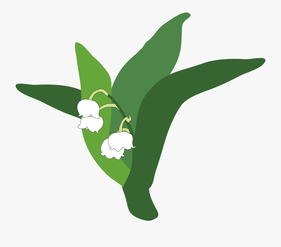 Lily Of The Valley Clipart Transparent - Lily Of The Valley Cartoon Png, Transparent Clipart