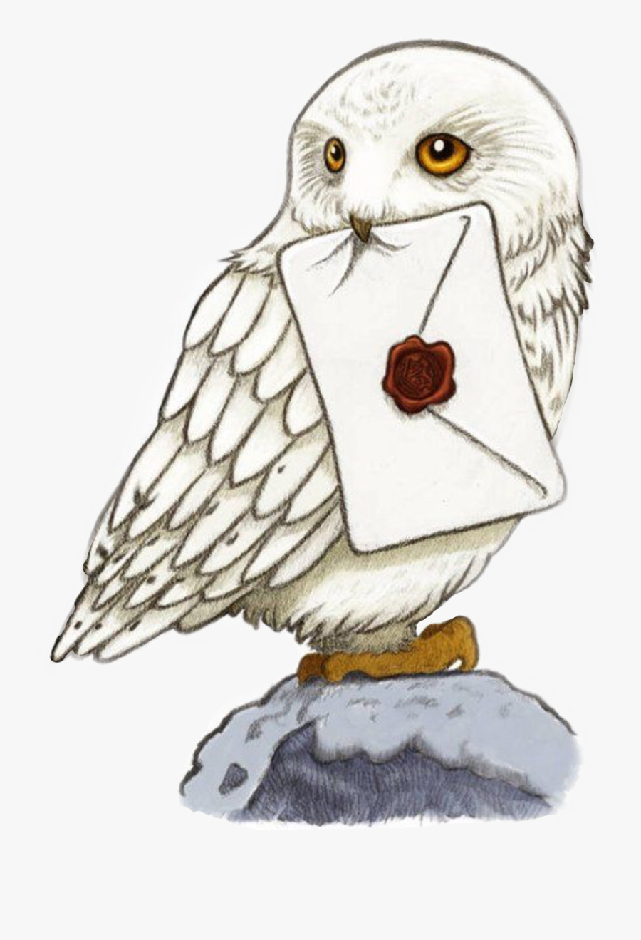 Sticker Hogwarts Harrypotter Freetoedit - Harry Potter Hedwig Drawing, Transparent Clipart