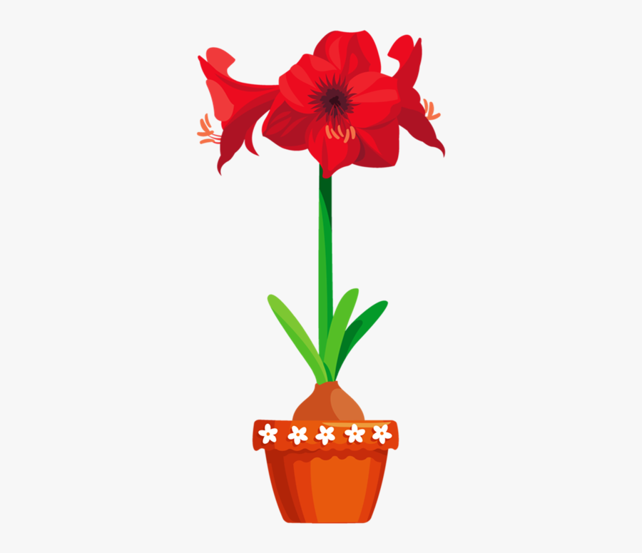 Красный Цветок В Горшке , Free Transparent Clipart - ClipartKey