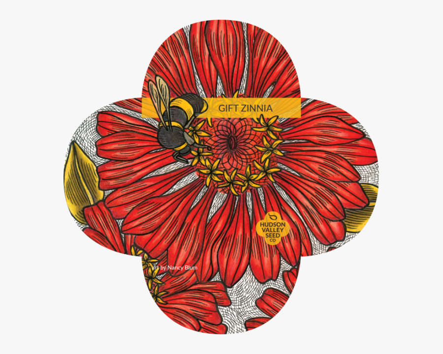 Seed, Transparent Clipart