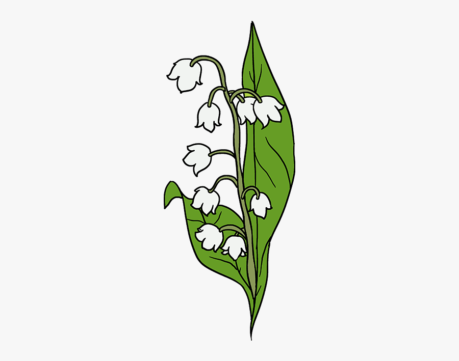 How To Draw A Lily Of The Valley - Lily Of The Valley Cartoon, Transparent Clipart