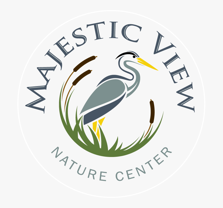 Clip Art Great Valley Nature Center - Great Egret, Transparent Clipart