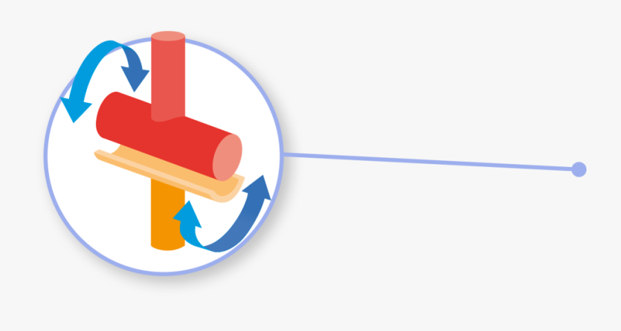 Knee Clipart Bone Joint, Transparent Clipart
