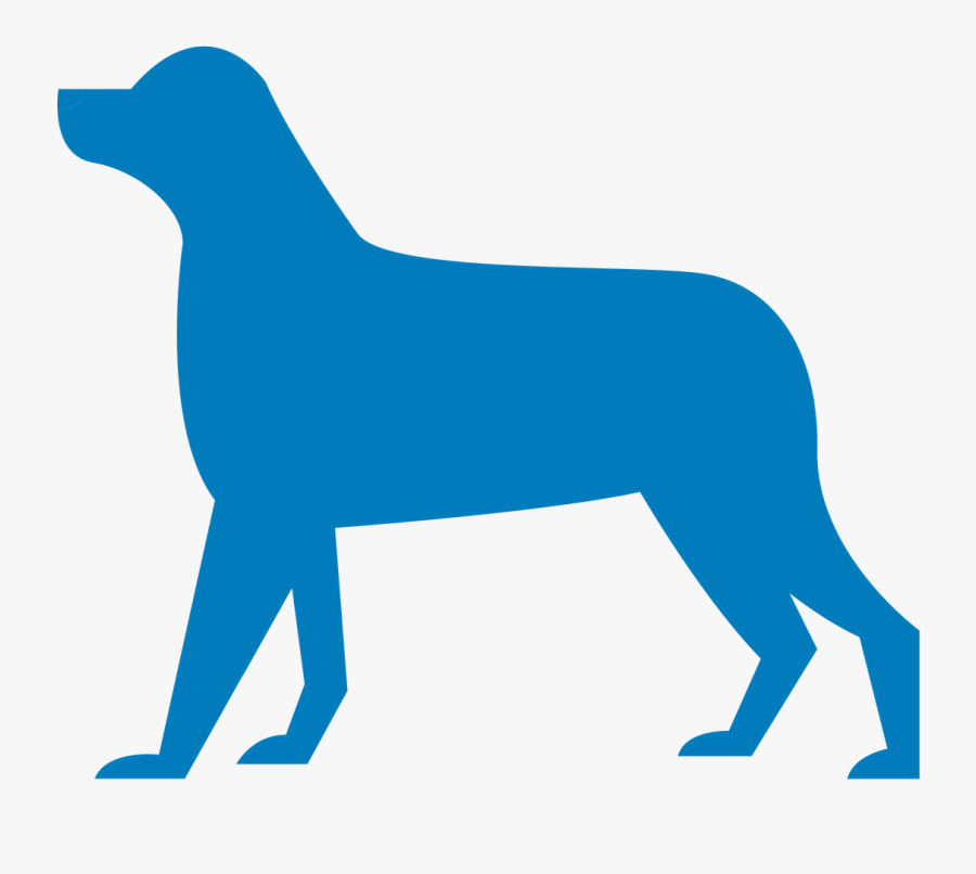 Common Areas Of Joint Pain In Dogs - Dog, Transparent Clipart