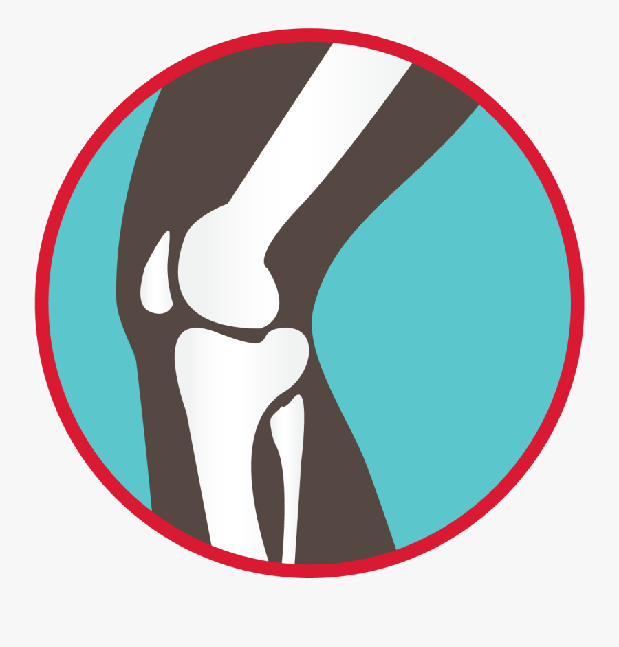 Bones Of The Knee Joint Graphic - Howth, Transparent Clipart