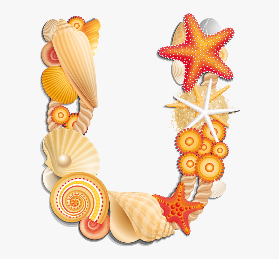 Seashells Clipart Beach Thing - Letter I With Seashells, Transparent Clipart