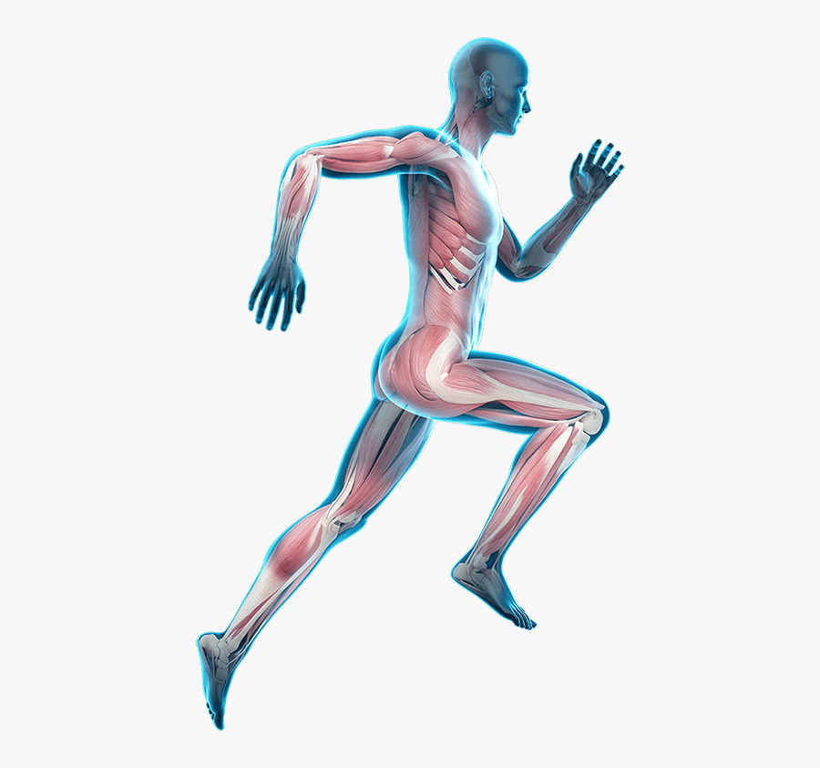Elbow Clipart Body Joint - Running Man After Pain Png, Transparent Clipart