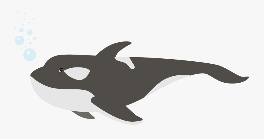 Killer Whale Png - Killer Whale, Transparent Clipart