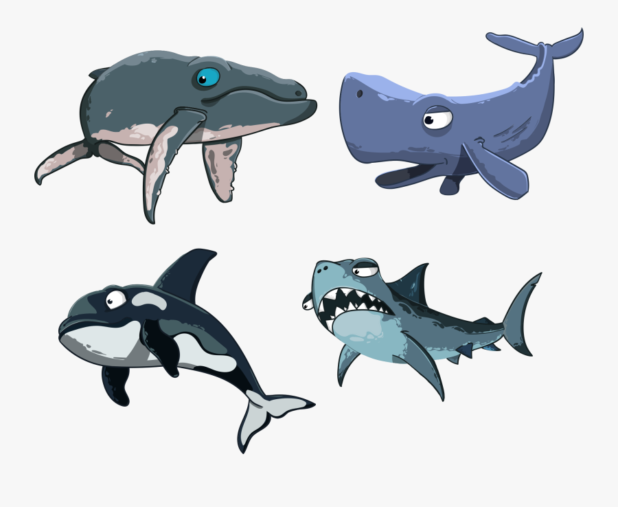 Kit, Sperm Whale, Shark, Killer Whale, Humpback Whale - Valentines Day Cute Card Ideas Pun, Transparent Clipart