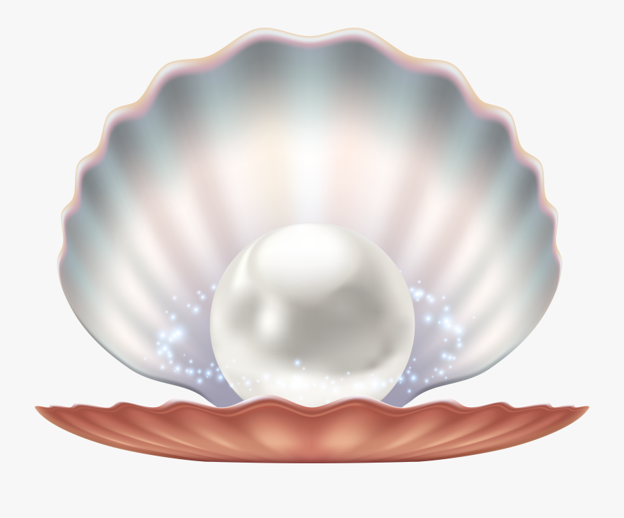 Seashells Clipart Pearl, Transparent Clipart