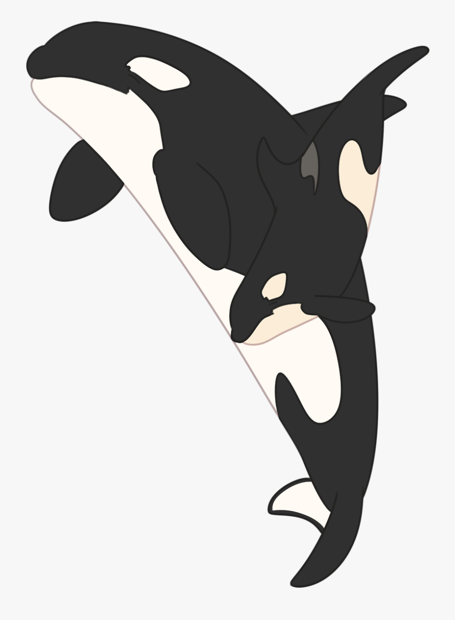 “orca Mom And Calf 
available On My Redbubble 
 
” - Southern Resident Killer Whale Png, Transparent Clipart