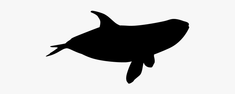 Orca Silhouette Png, Transparent Clipart