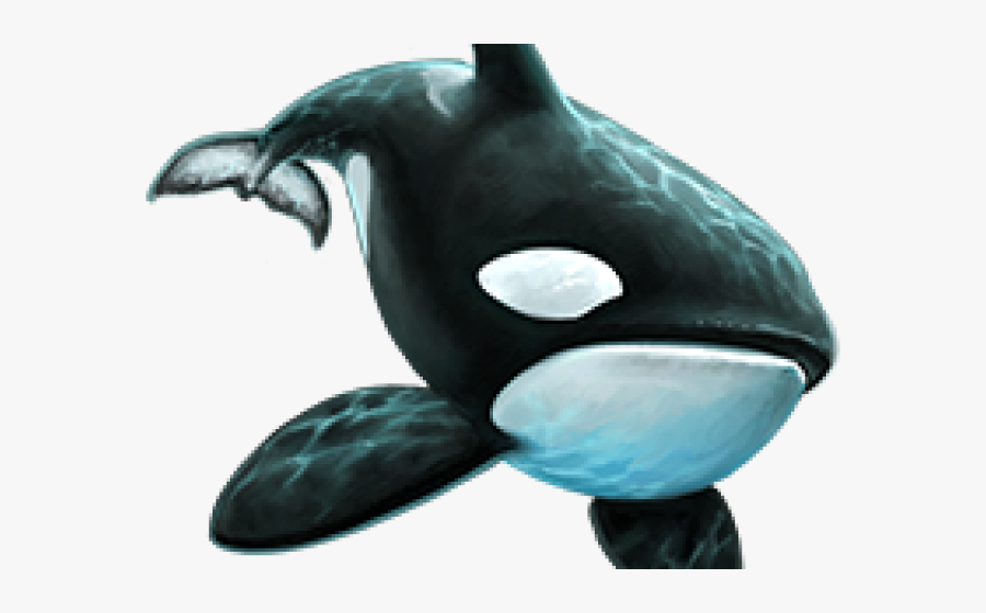 Killer Whale Png Transparent Images - Killer Whale Png, Transparent Clipart