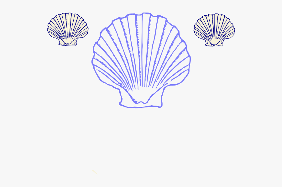 Shell Clipart, Transparent Clipart