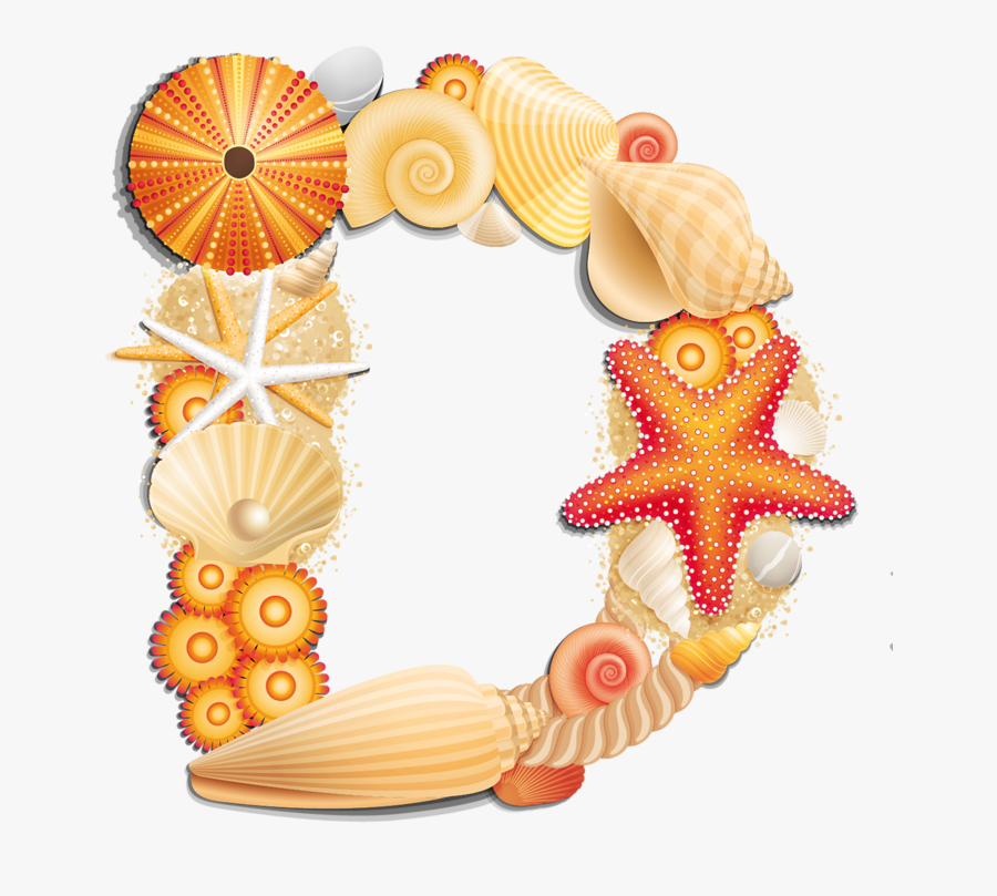 Beach Letter D - Transparent Background Sea Shell Clip Art, Transparent Clipart