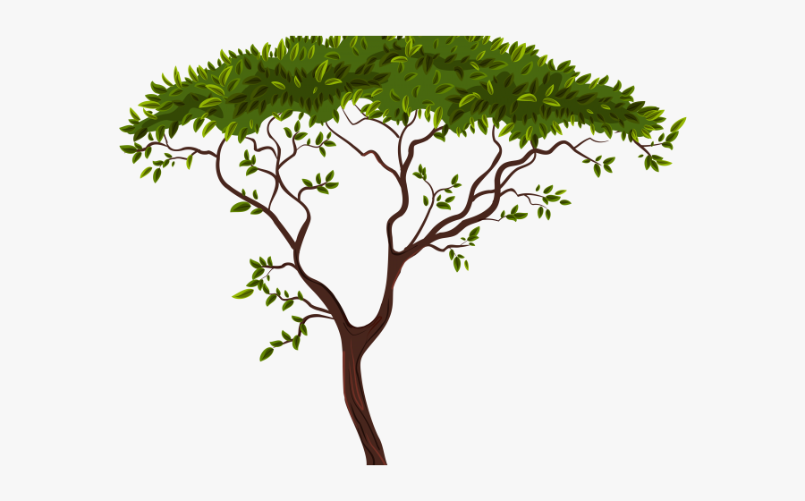 Transparent Background Tree Clipart, Transparent Clipart