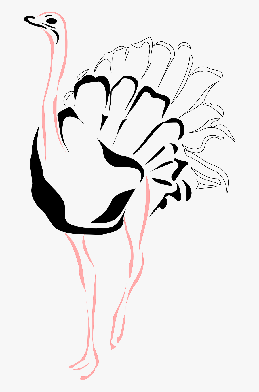 Africa Wildlife Transparent Image - صورة نعامة كرتون, Transparent Clipart