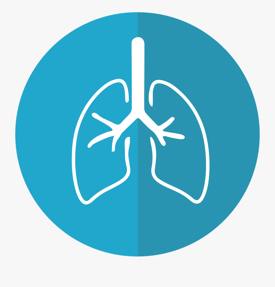 Clip Art Lung Images - Lung Cancer Awareness Month Png , Free