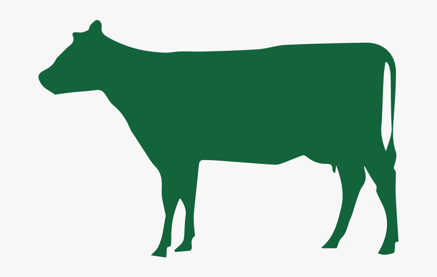 Beef Lung 1 Pound, Transparent Clipart