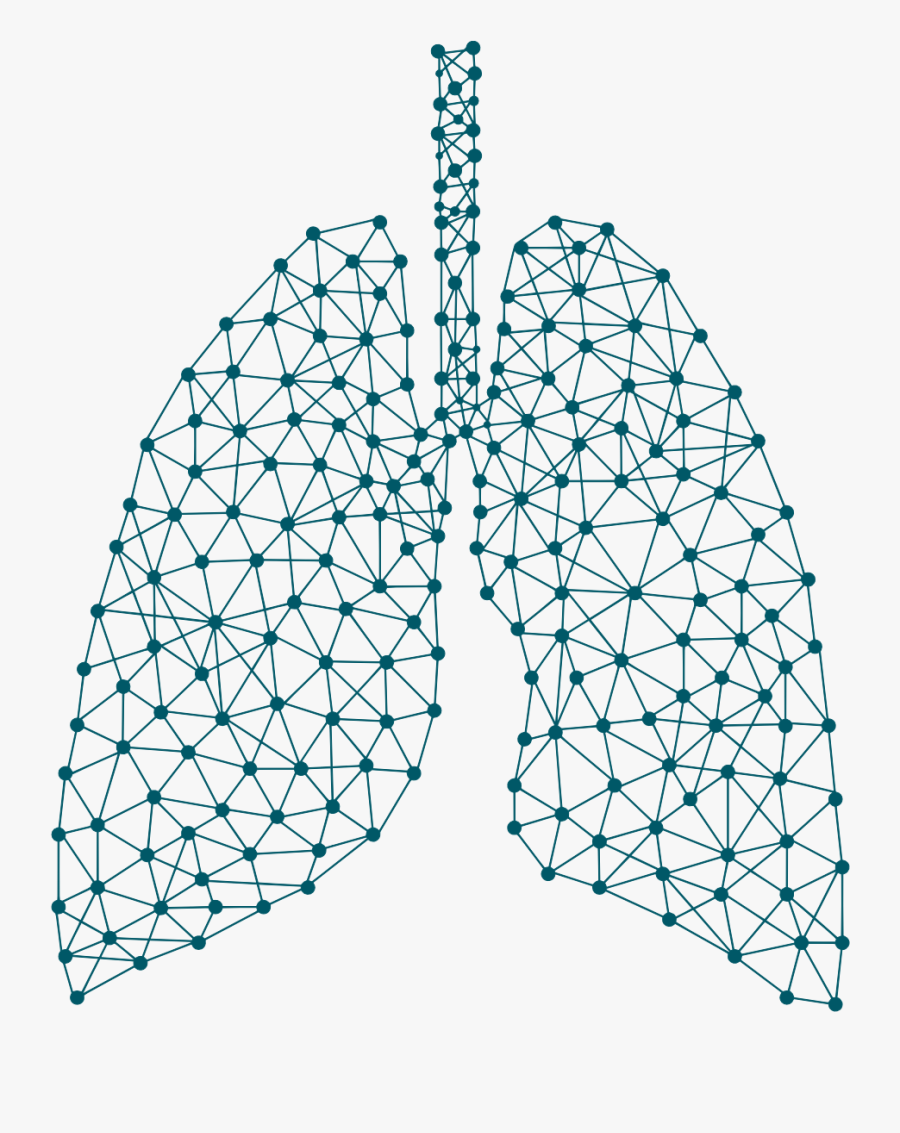 Abstract Lungs, Transparent Clipart