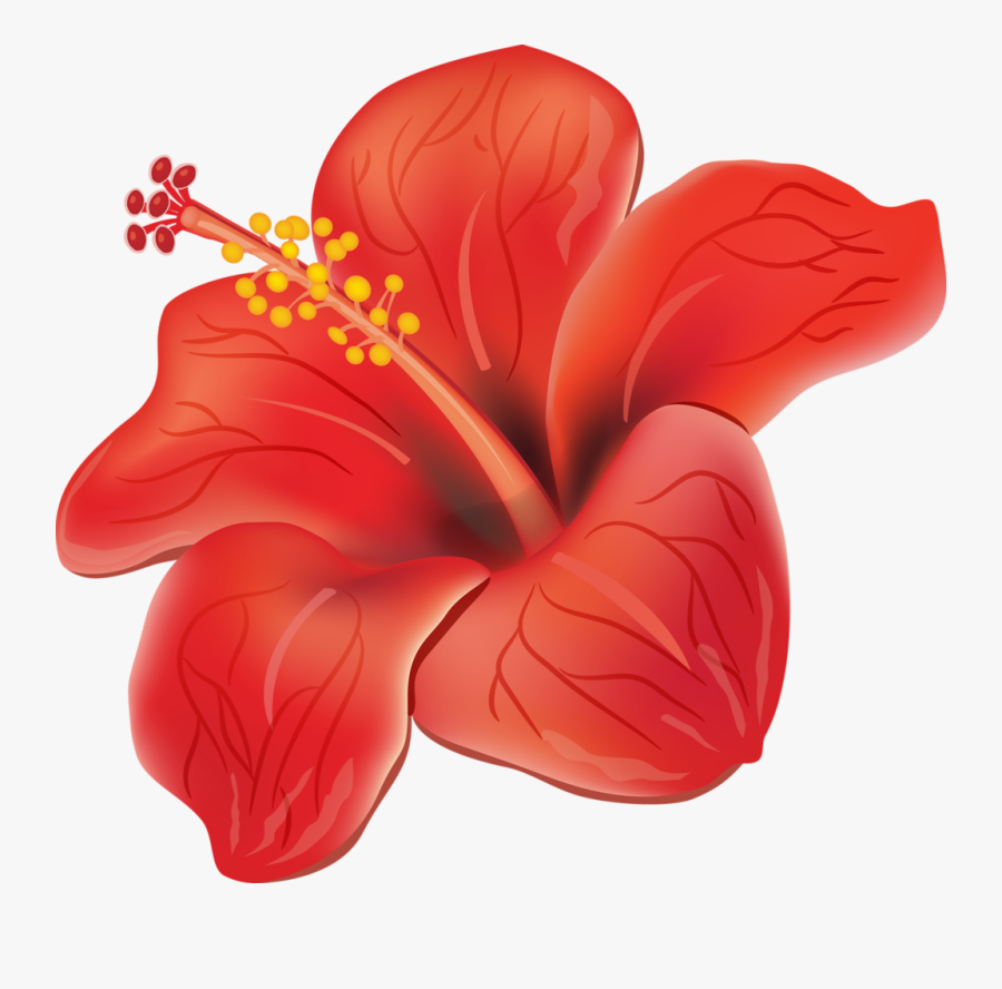 Moana Clipart Orange Tropical Flower - Flores Tropicais Em Png, Transparent Clipart